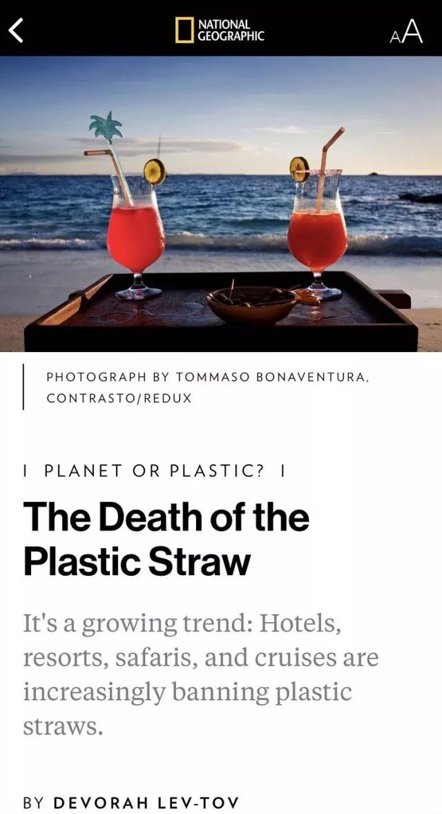 一只野生海龟带来的亿万商机：Planet or Plastic