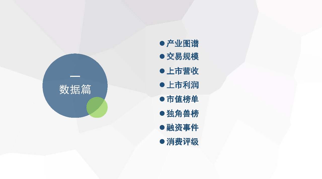 《2018年度中国生活服务电商市场数据监测报告》（20190709）_页面_06.jpg